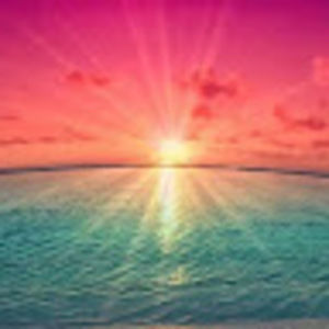 Meet your Posher, Colleen